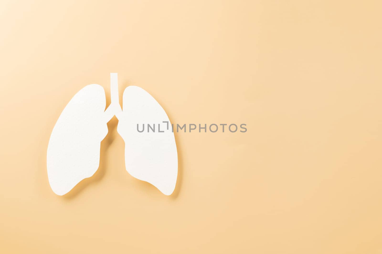 World TB day. Top view Lungs paper decorative symbol on pastel background, copy space, concept of world tuberculosis day, no tobacco, Medical and healthcare