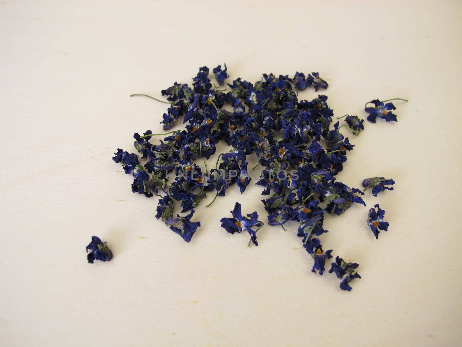 Dried flowers of sweet violets for tea