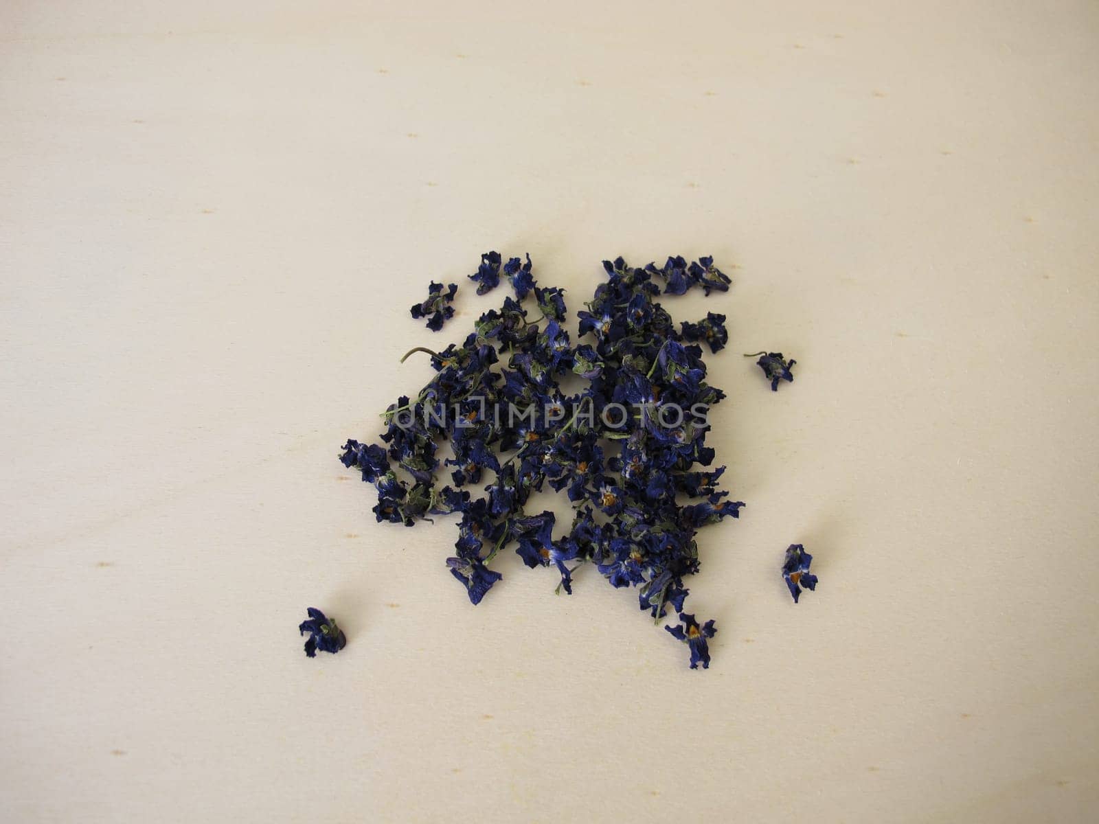 Dried flowers of sweet violets for tea