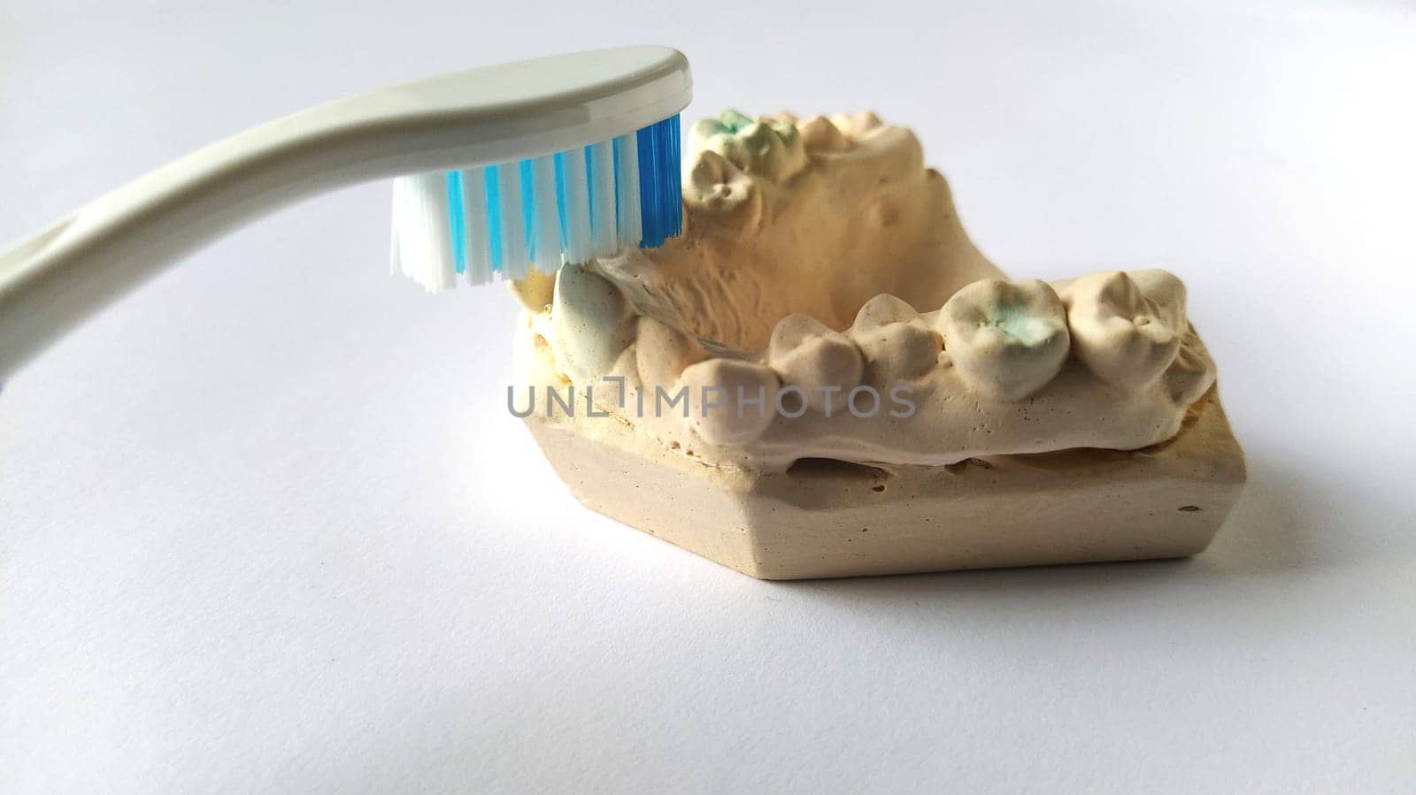 Toothbrush and mock human jaw. Plaster lower jaw. Dental and health care concept. White background. Bright yellow and blue color. Rugged, crooked teeth. Help of the dentist and orthodontist.