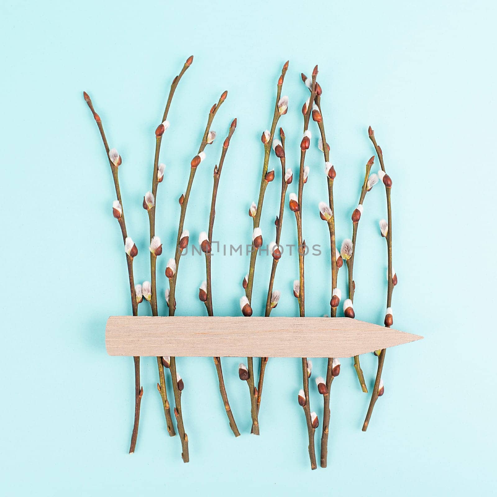 Willow branches with a tag, easter holiday greeting card, spring season background