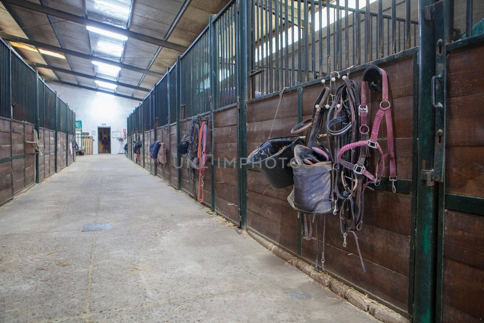 Horse stable corridor. Equestrian facility created for accommodating horses
