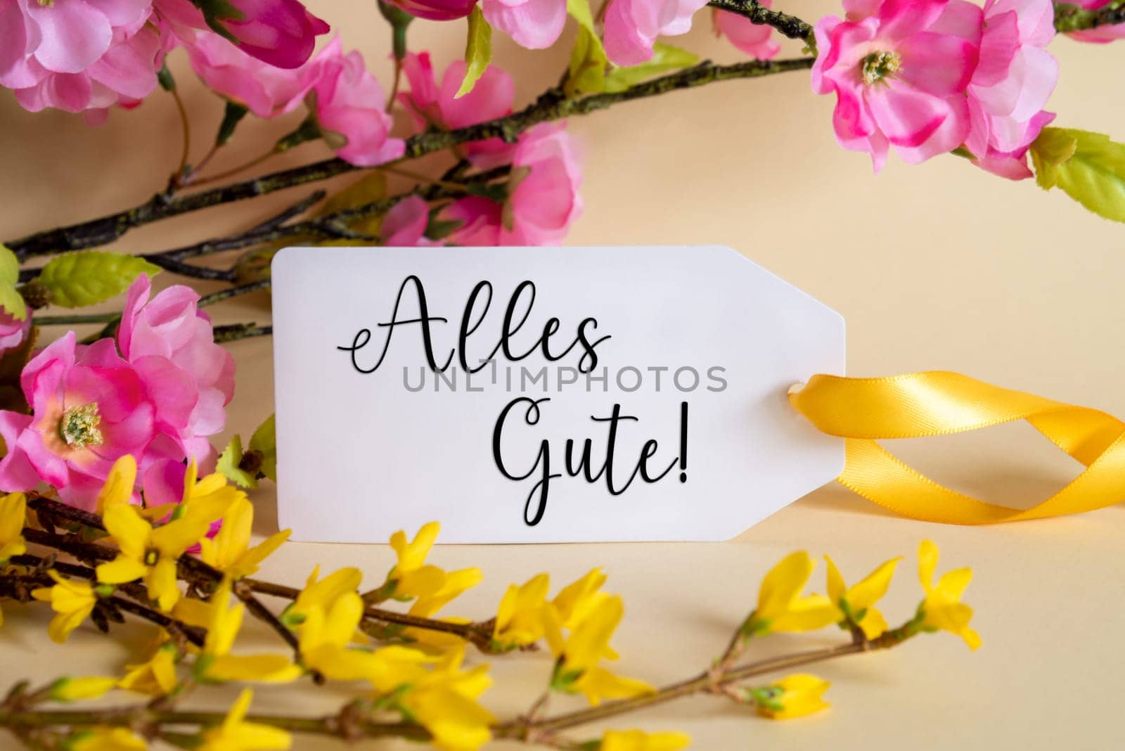 Spring Flower Arrangement With White Label With German Text Alles Gute Means Best Wishes. Colorful Flower Branch Decoration With Yellow And Purple Blossoms.