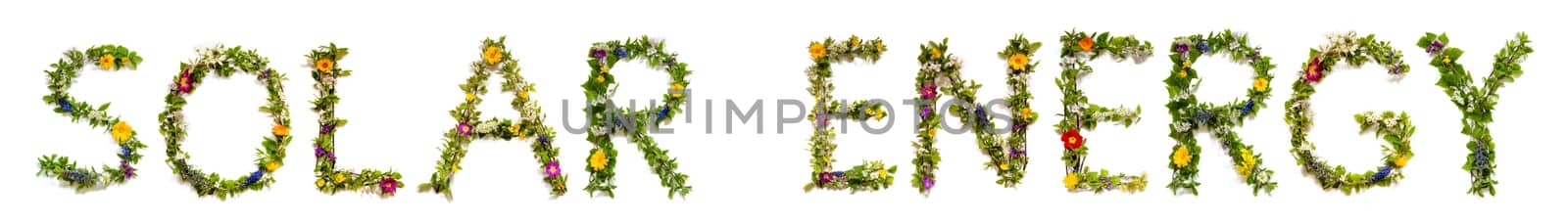 Blooming Flower Letters Building English Text Solar Energy. Summer And Spring Season Blossoms And Flower Lei.