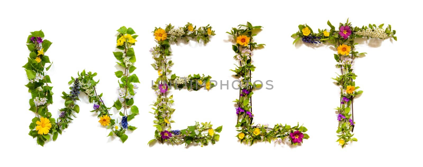 Blooming Flower Letters Building German Word Welt Means World. Summer And Spring Season Blossoms And Flower Lei.