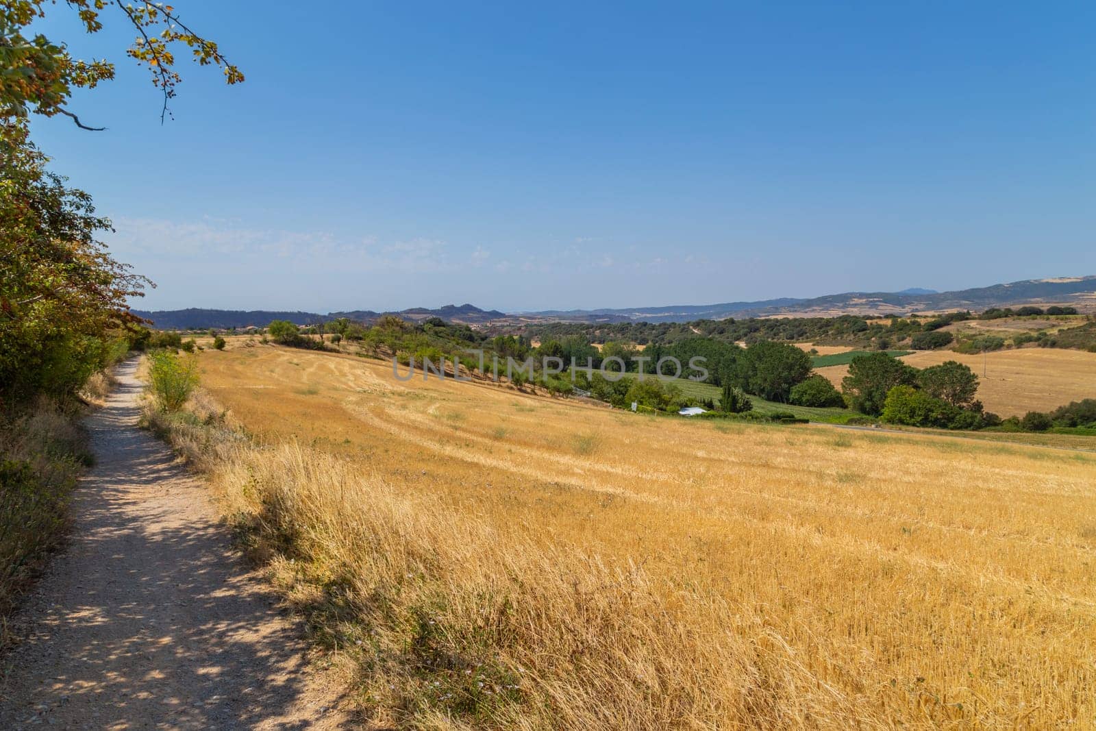 view of a crop field in the north of Spain