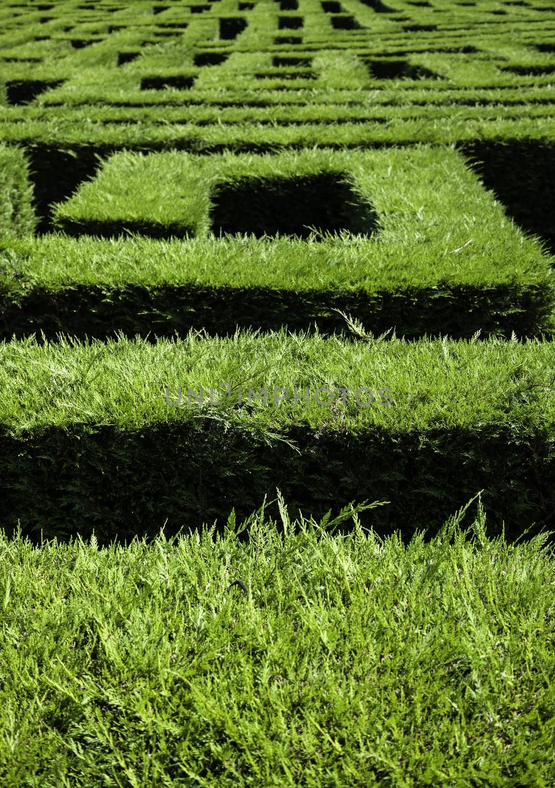 Detail of escape game in nature, survival and fun