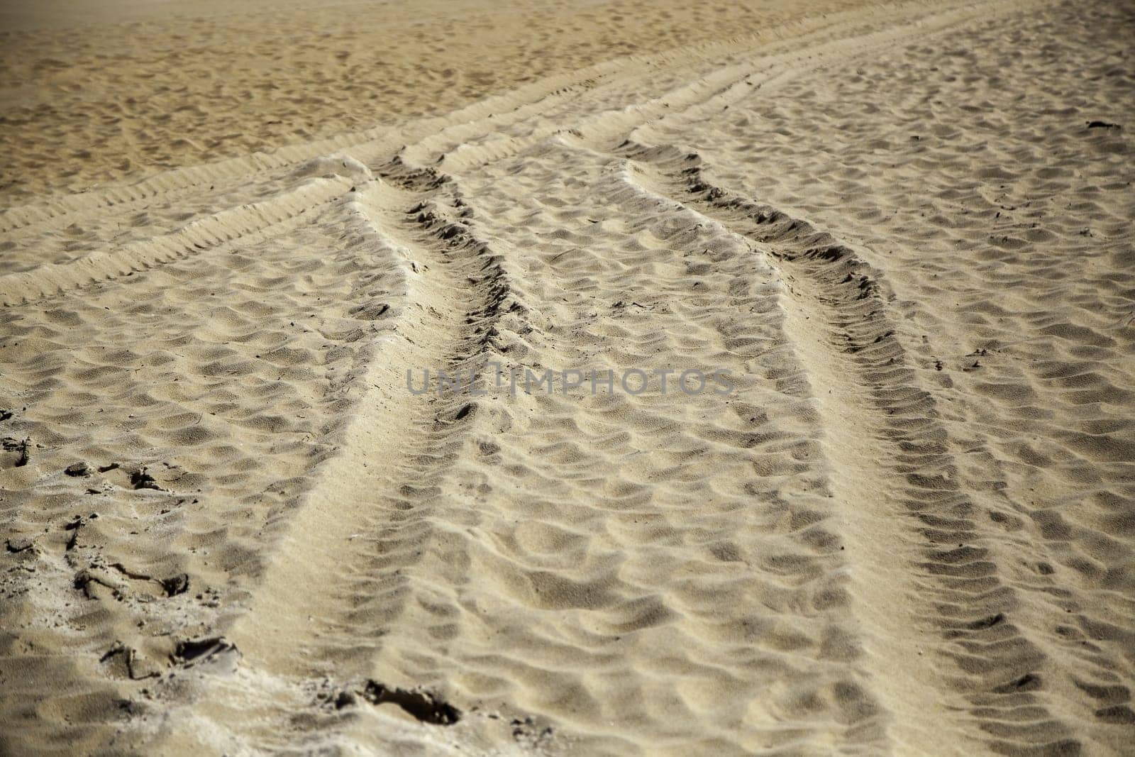 Detail of car wheel marks on a beach in nature