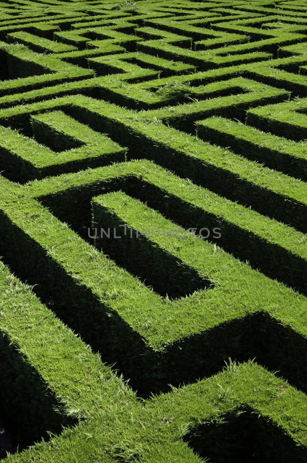 Detail of escape game in nature, survival and fun