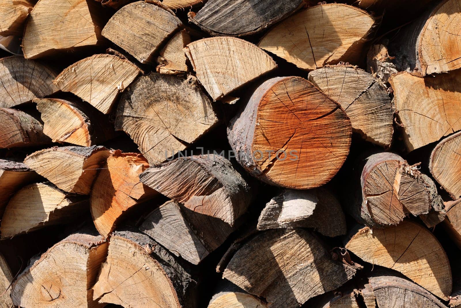 stack of firewood prepared for winter