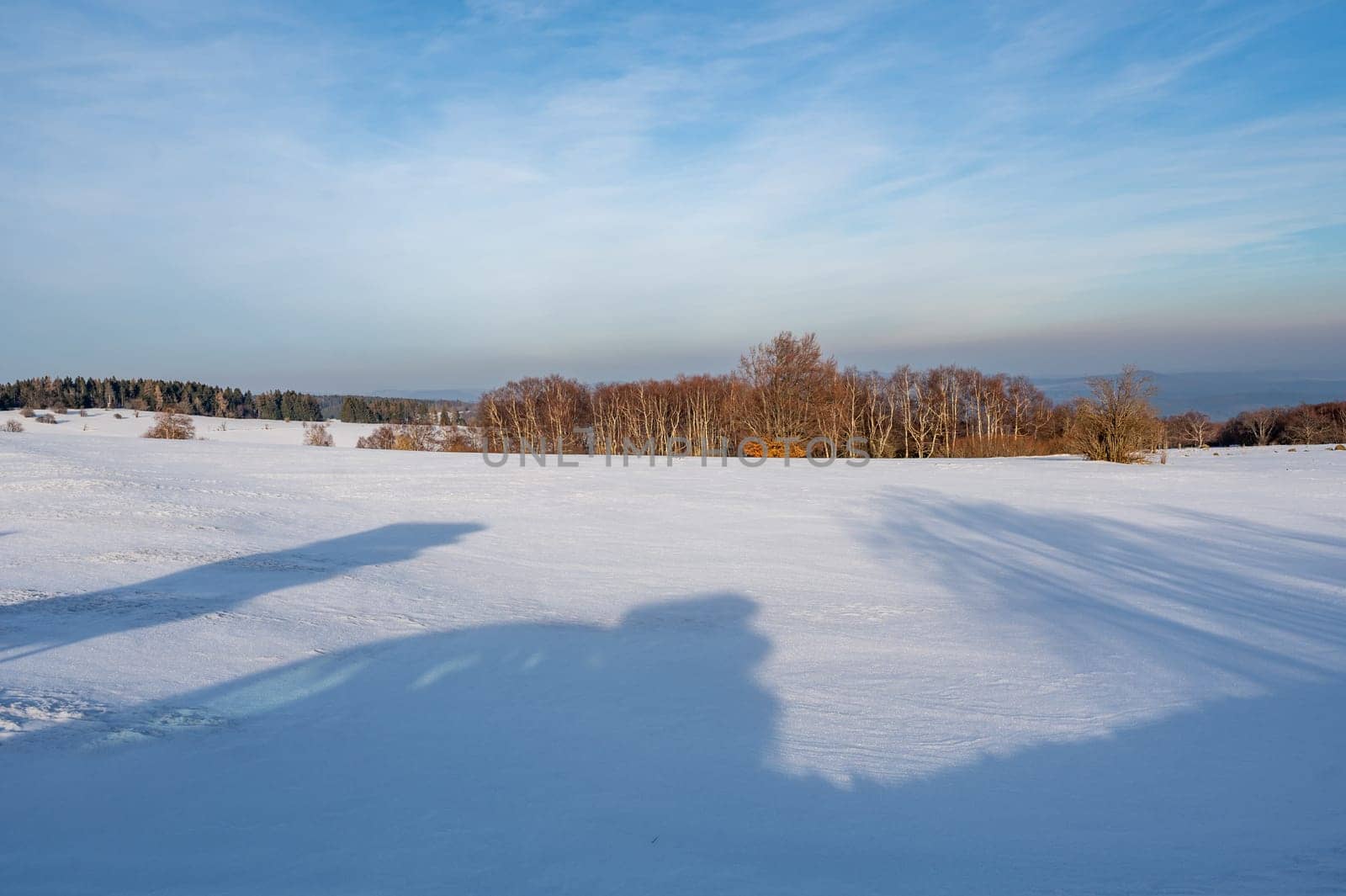 Lots of snow in nature, with trees and blue sky in the high Rhoen, Hesse, Germany