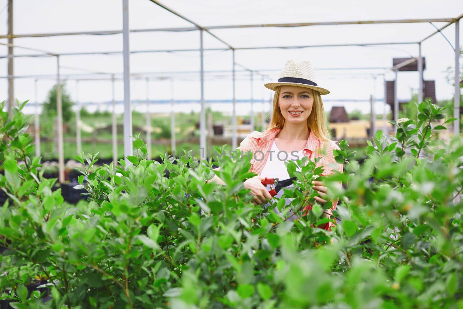 Pretty gardener taking care of small trees