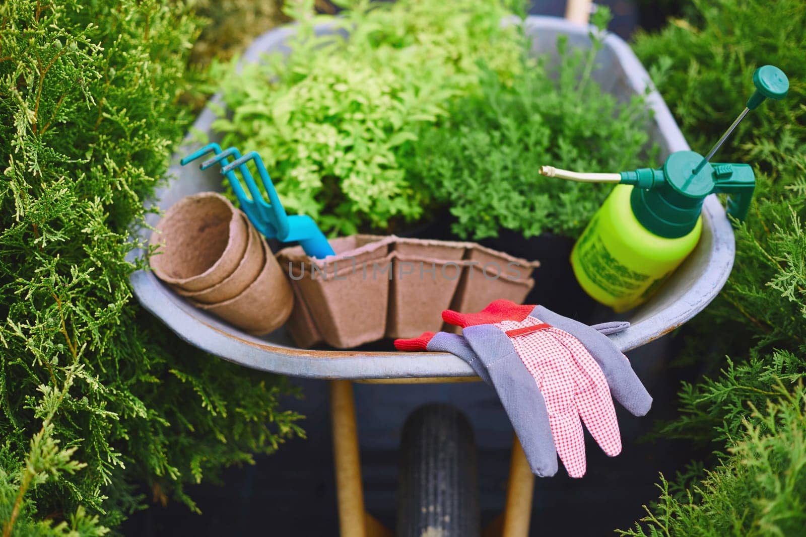 All necessary gardening equipment in wheelbarrow