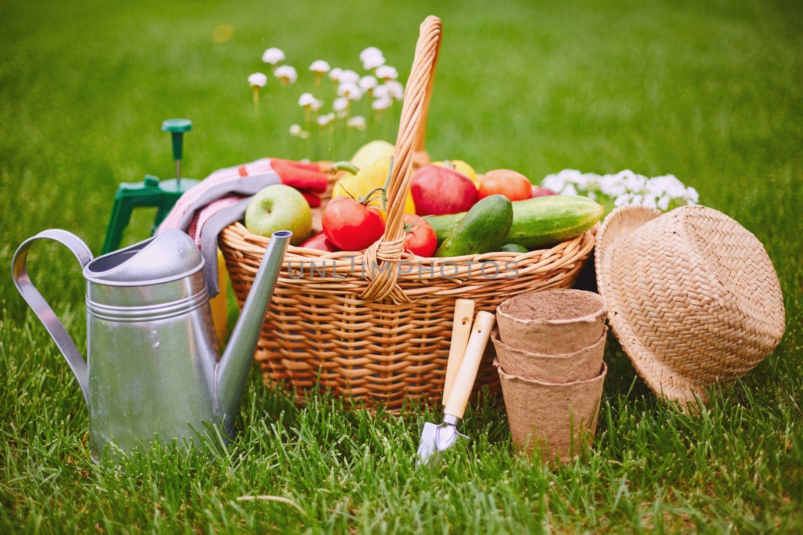 Basket with fresh vegs and gardening equipment on green grass
