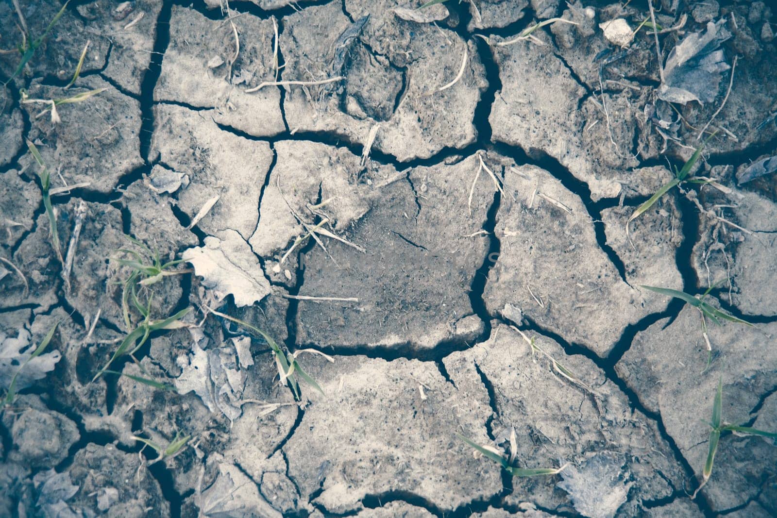 Cracked earth on dray season. Image can be used as background or pattern.
