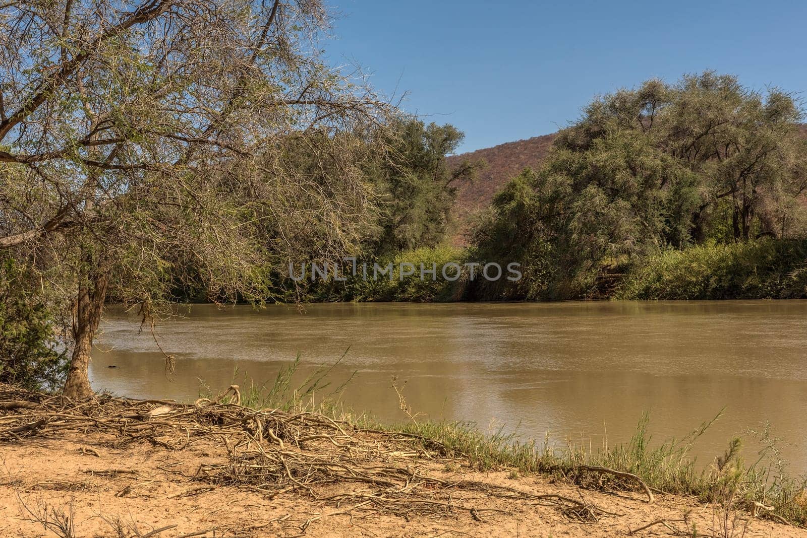 Landscape on the banks of the Kunene River, the border river between Namibia and Angola