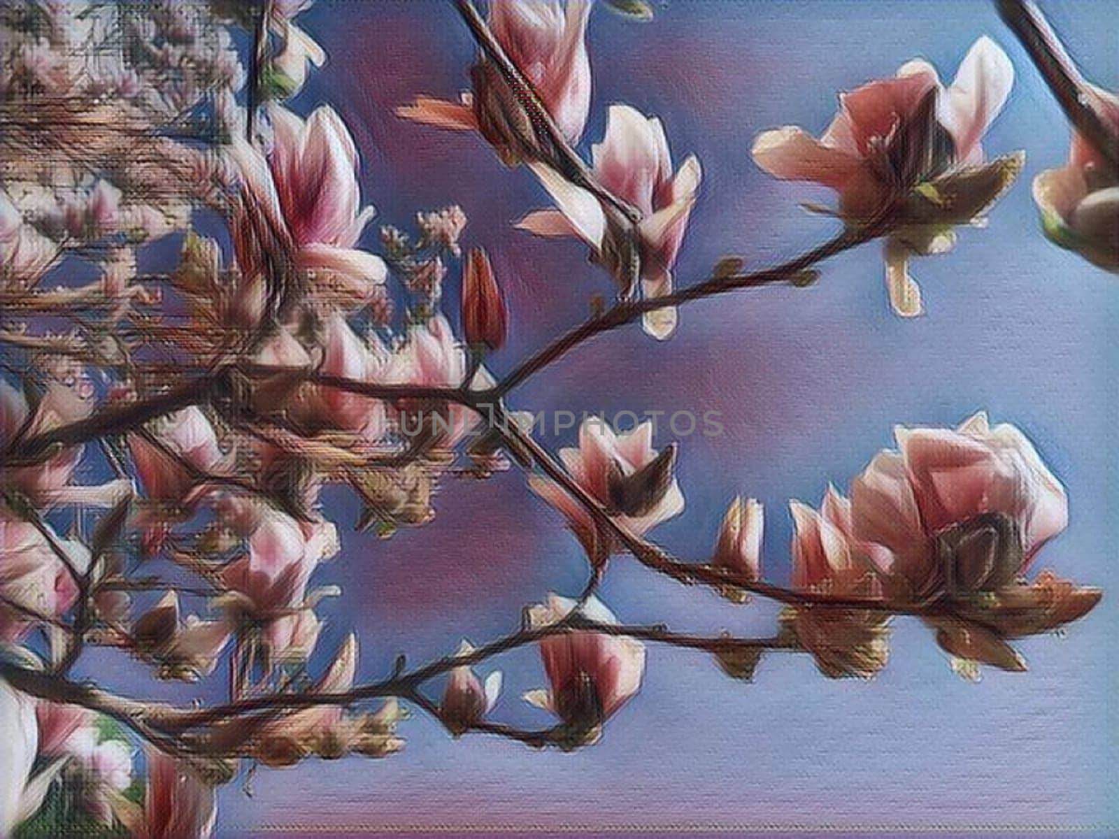 Beautiful blossoming pink flowers and magnolia buds on branches without leaves. Blue sky and sunlight. Wedding invitation or greeting card from March 8. The beginning of spring. Delicate white petals.