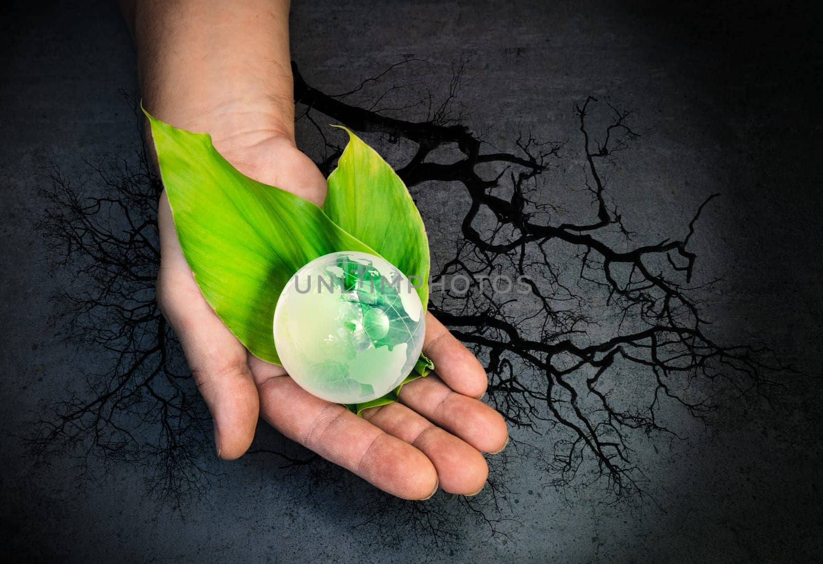 Human hands holding a green globe of planet Earth on leaves over tree and grey background