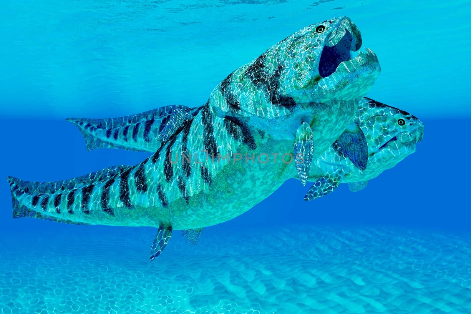 Dunkleosteus was a carnivorous placoderm fish that lived in the seas of the Devonian Period.