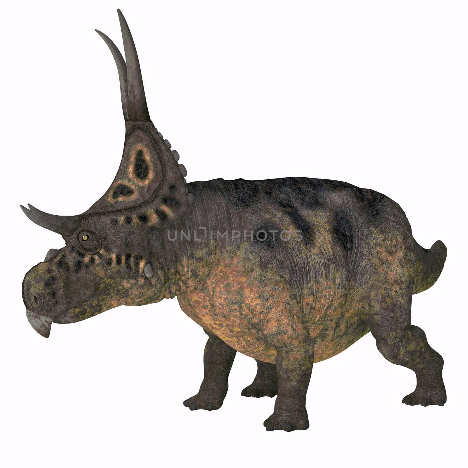 Diabloceratops was a horned herbivorous dinosaur that lived in Utah, USA during the Cretaceous Period.