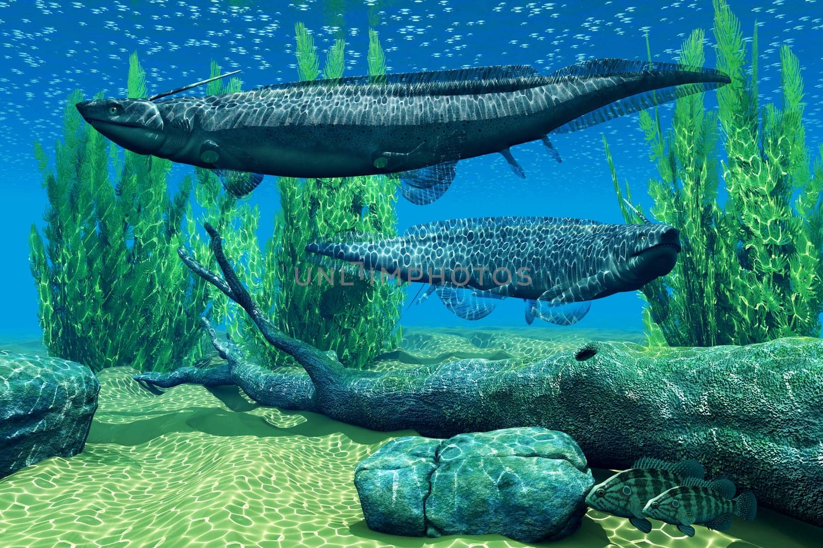 Xenacanthus was a carnivorous marine shark that lived in Devonian and Triassic Period seas.