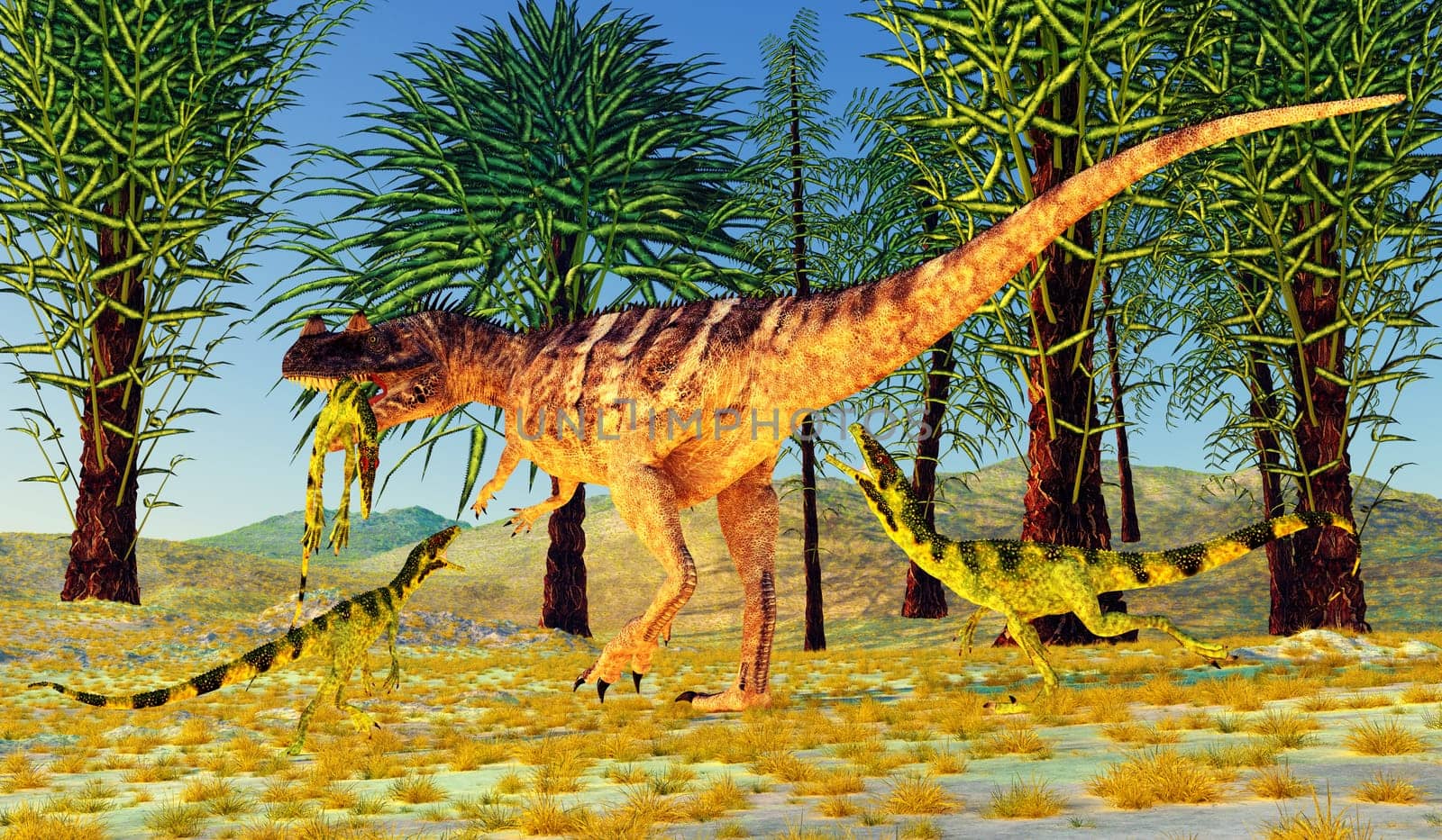 A carnivorous theropod Ceratosaurus dinosaur kills a smaller Juravenator during the Jurassic Period.
