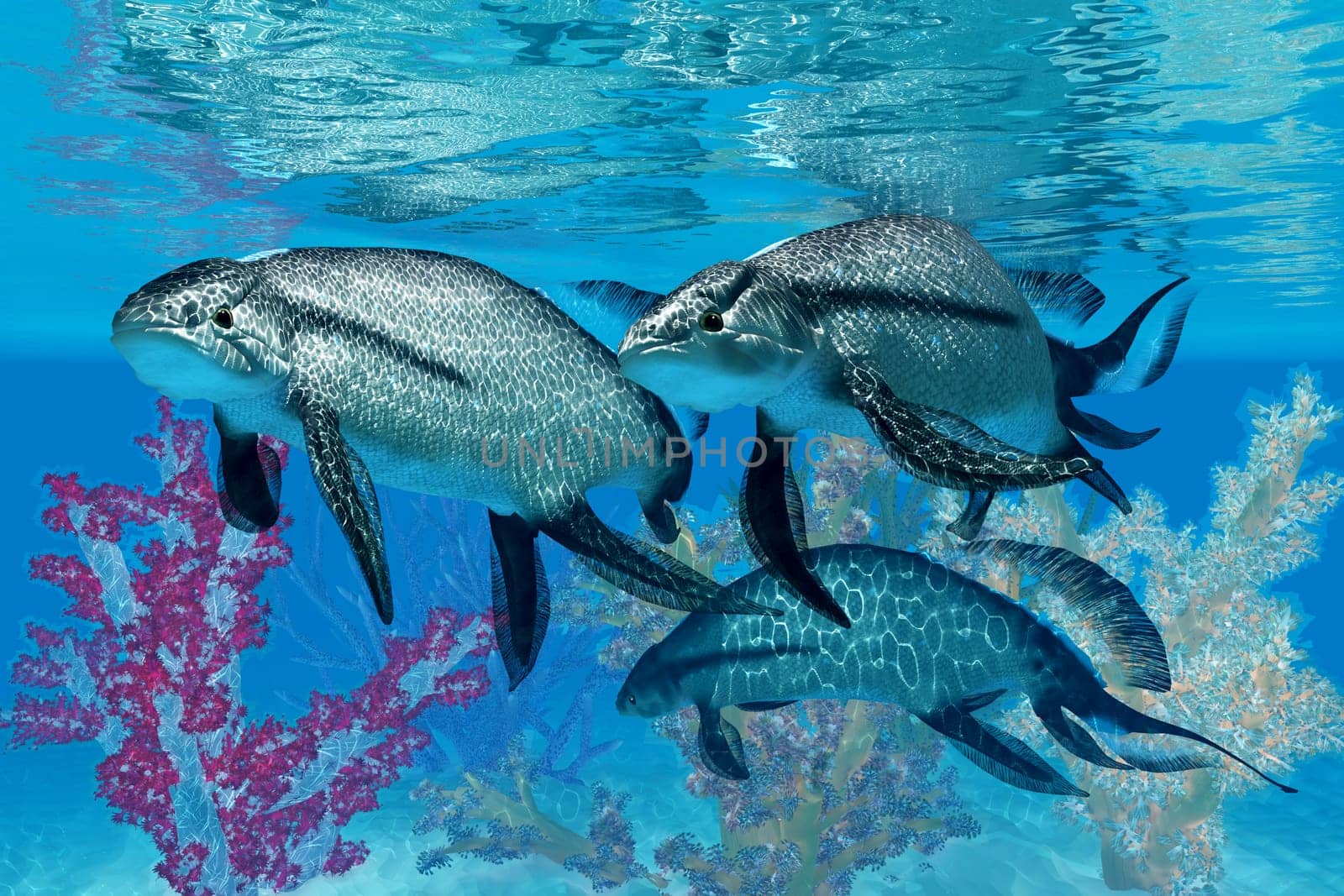 Scaumenacia was a primitive jawless fish that lived in the oceans of the Devonian Period.