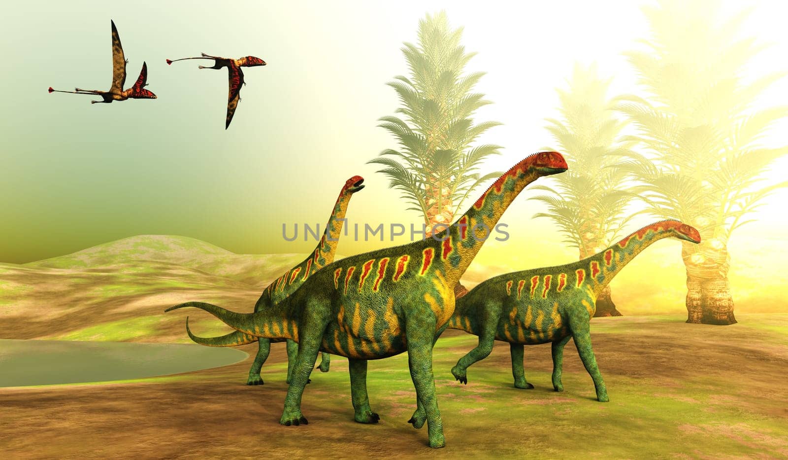 Dimorphodon Pterosaurs follow a herd of Jobaria sauropod dinosaurs during the Jurassic Period.