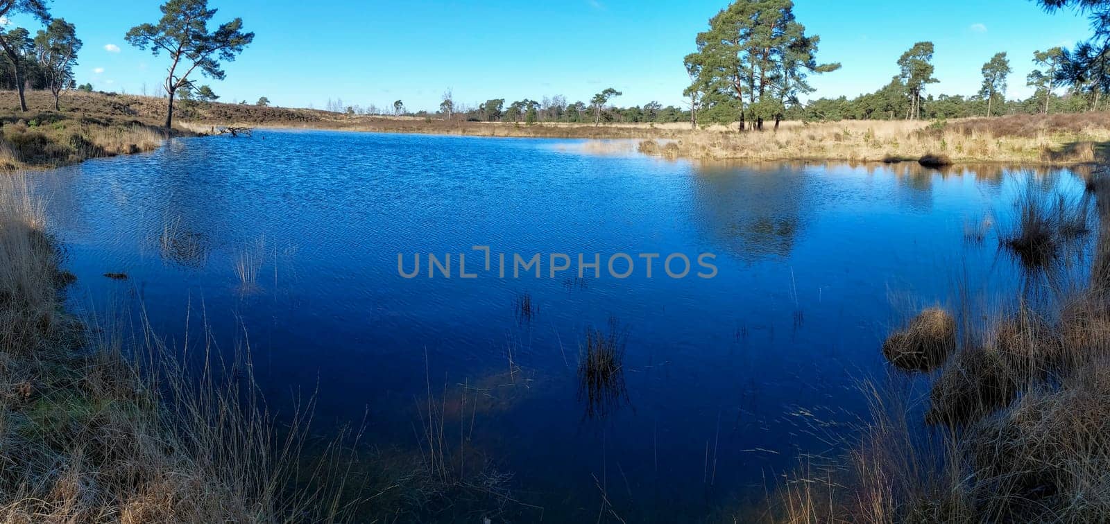 view on Kalmthout Heath - De Zoom landscape in Flanders, Belgium