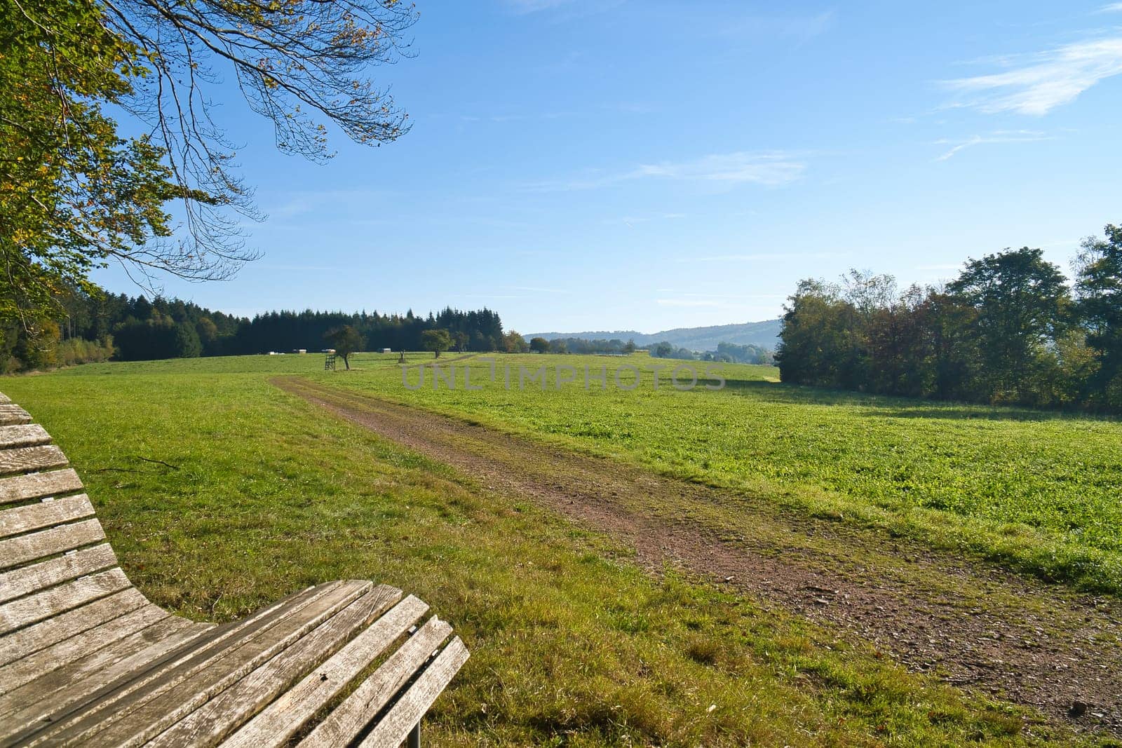 Meadow with hiking trail in Rhineland-Palatinate. View over field with trees under blue sky. Nature photo from landscape