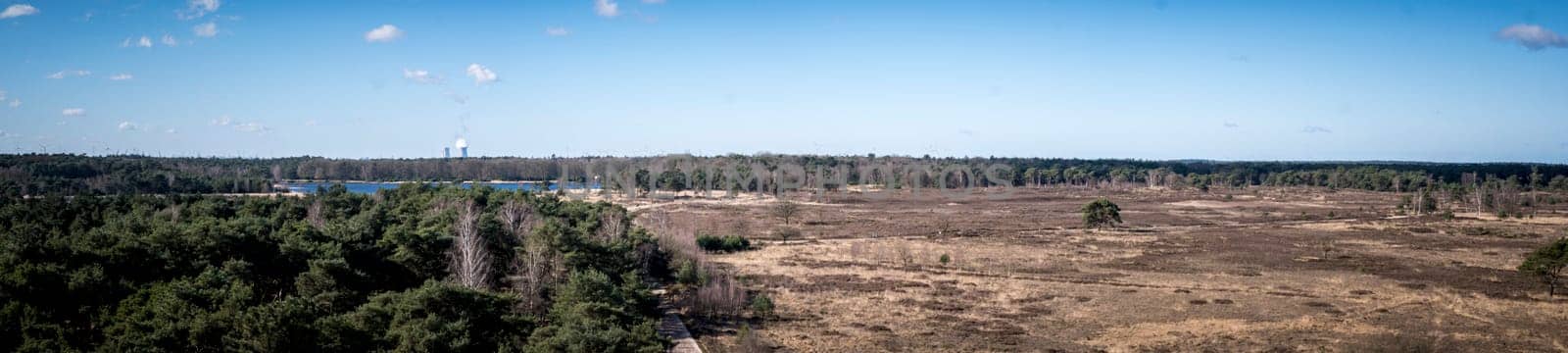 Moody High angle panorama shot of Kalmthout Heath in Flanders, Belgium