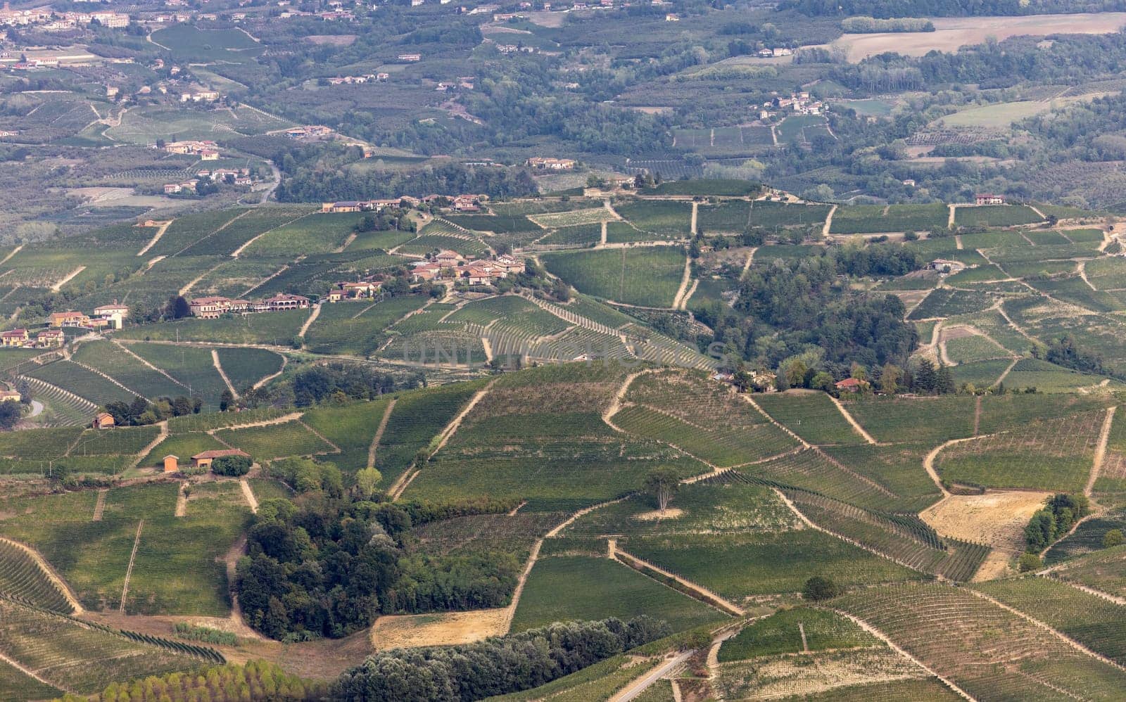 Langhe vineyards near Barolo and La Morra, Unesco Site, Piedmont, Italy