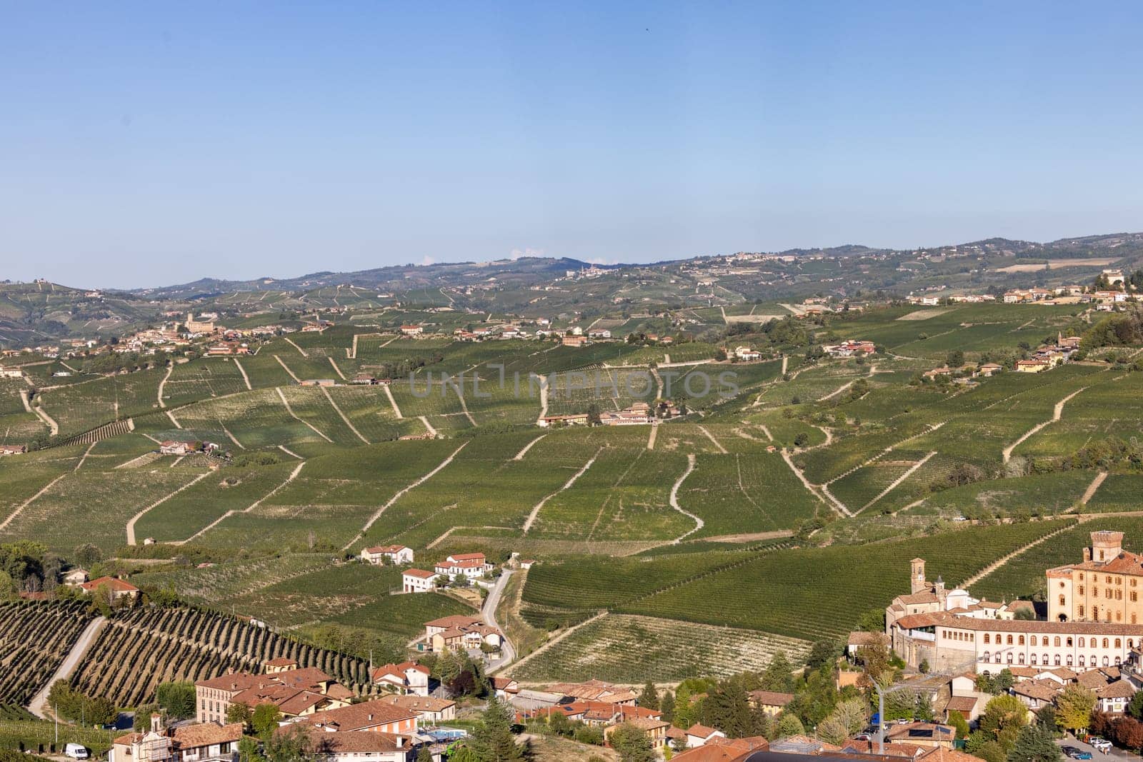Langhe vineyards near Barolo Unesco Site, Piedmont, Italy