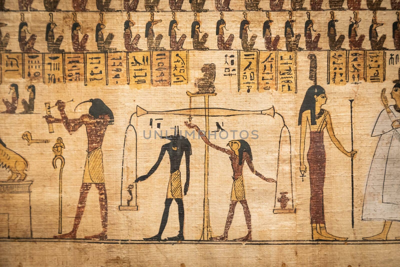 Turin, Italy - February 2023: Egyptian Museum. Detail of the Book of the Dead with funerary formulas and spells, papyrus, 330 BC