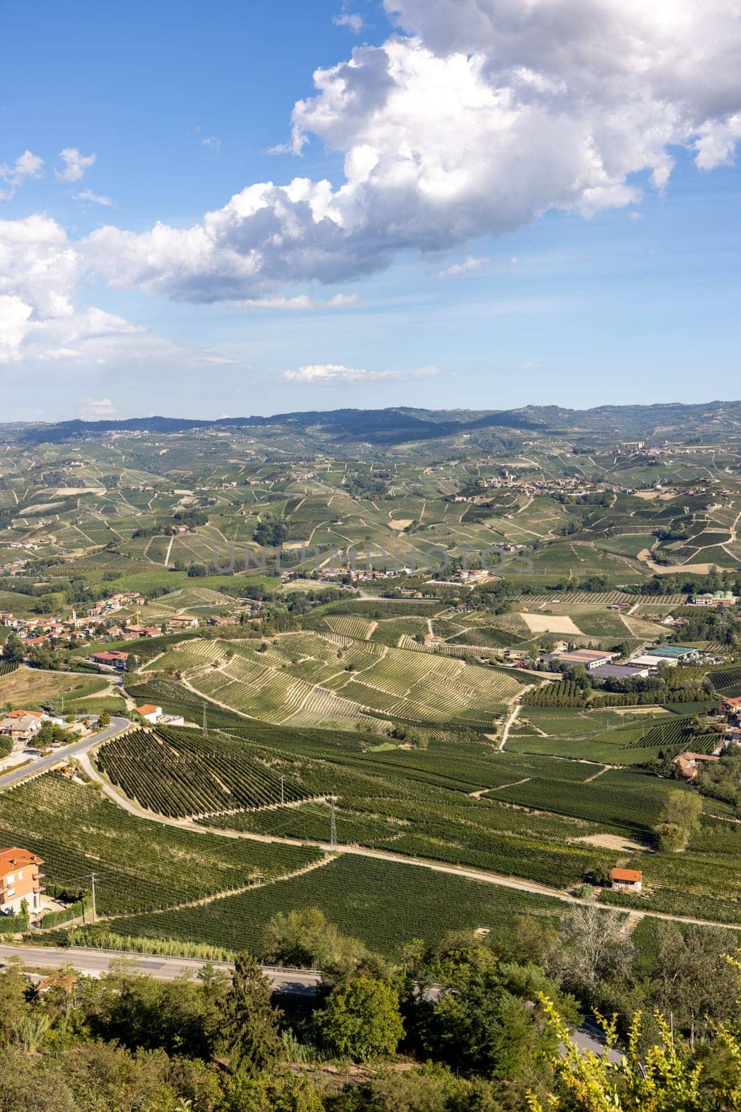 Langhe vineyards near Barolo and La Morra, Unesco Site, Piedmont, Italy