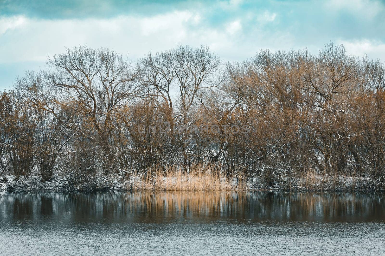 Winter landscape with frozen pond covered with snow. Central european countryside. Christmas winter concept