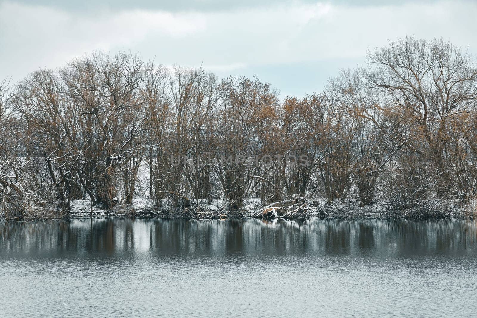 Winter landscape with frozen pond covered with snow. Central european countryside. Christmas winter concept