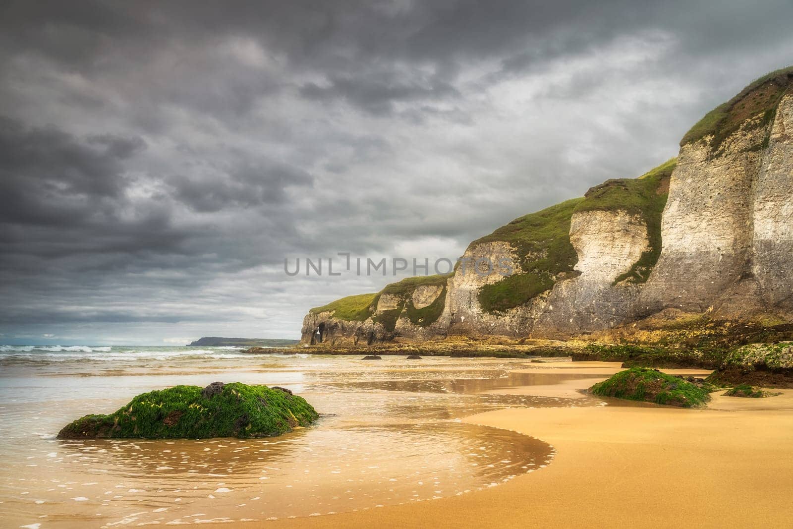 Rocks covered in seaweed and limestone rock formations on White Rocks Beach, Causeway Coast, Wild Atlantic Way, County Antrim, Northern Ireland