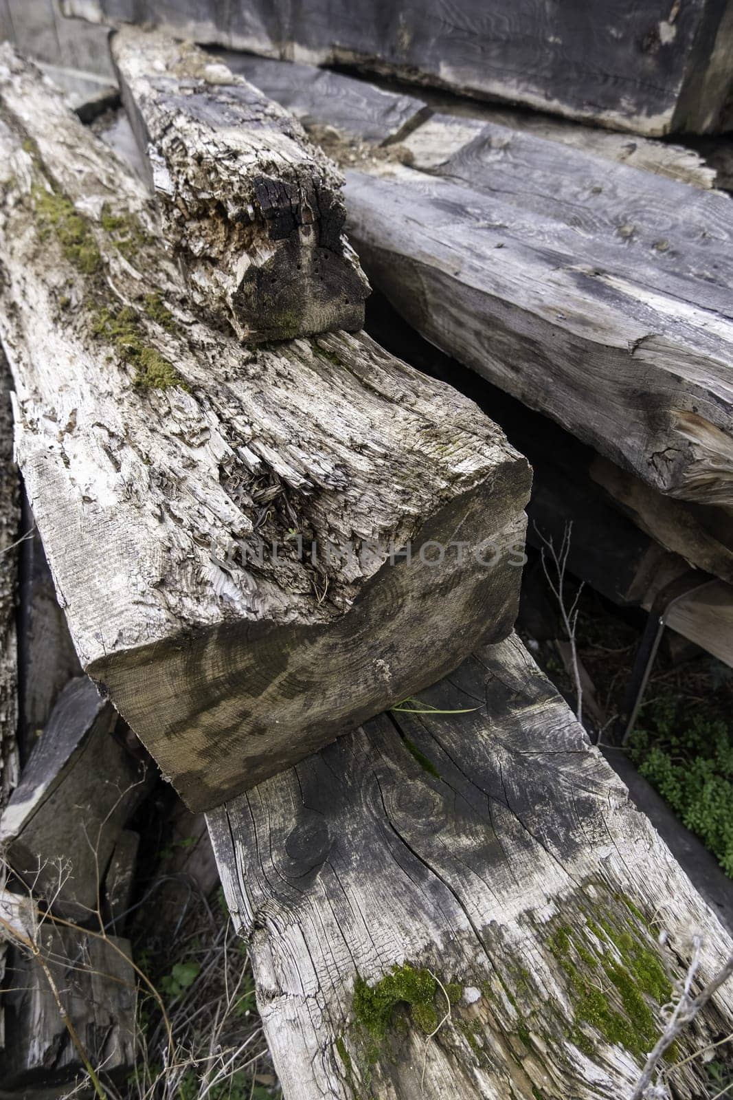 Detail of old wood for construction, ruin and disaster