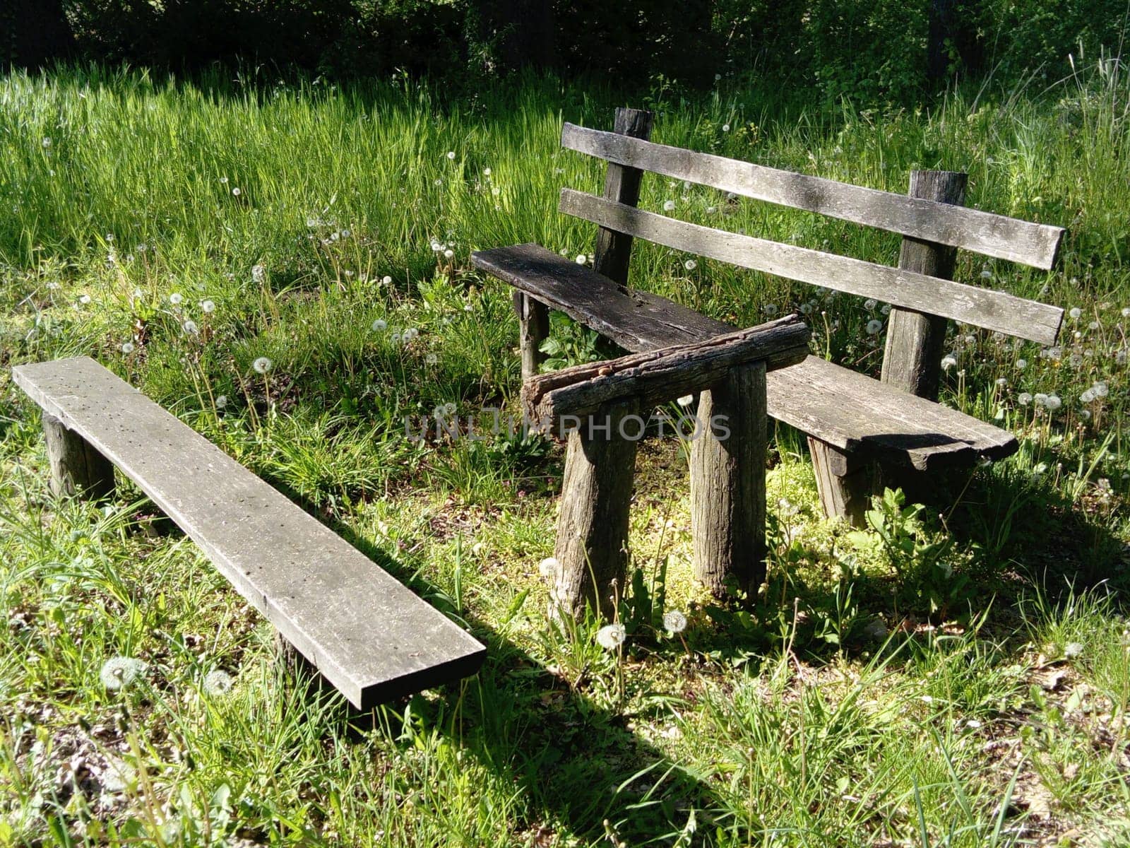 Wooden picnic table and bench in a forest. Quiet place. Summer and green grass.