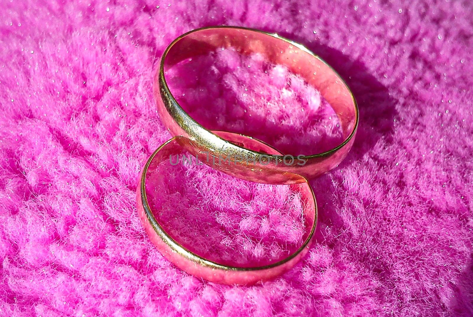 two gold rings, male and female, on a pink shaggy background