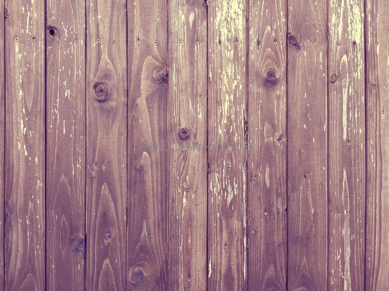 Wooden wall background or texture. wood planks with twigs.