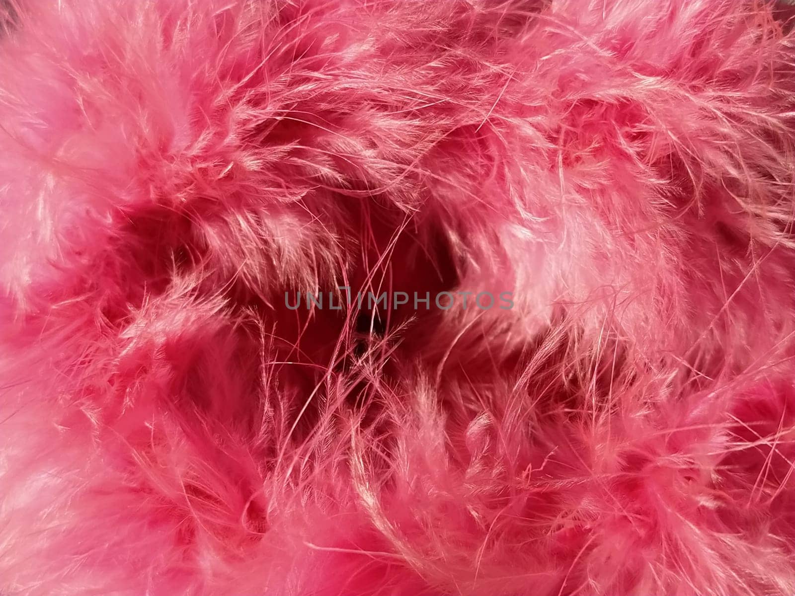 Pink faux fur or pink colored natural bird feathers close-up. Light feathers boa. Delicate texture. Greeting card Happy Valentines Day. Collar from a women's or girl's jacket. Bright pink or color.