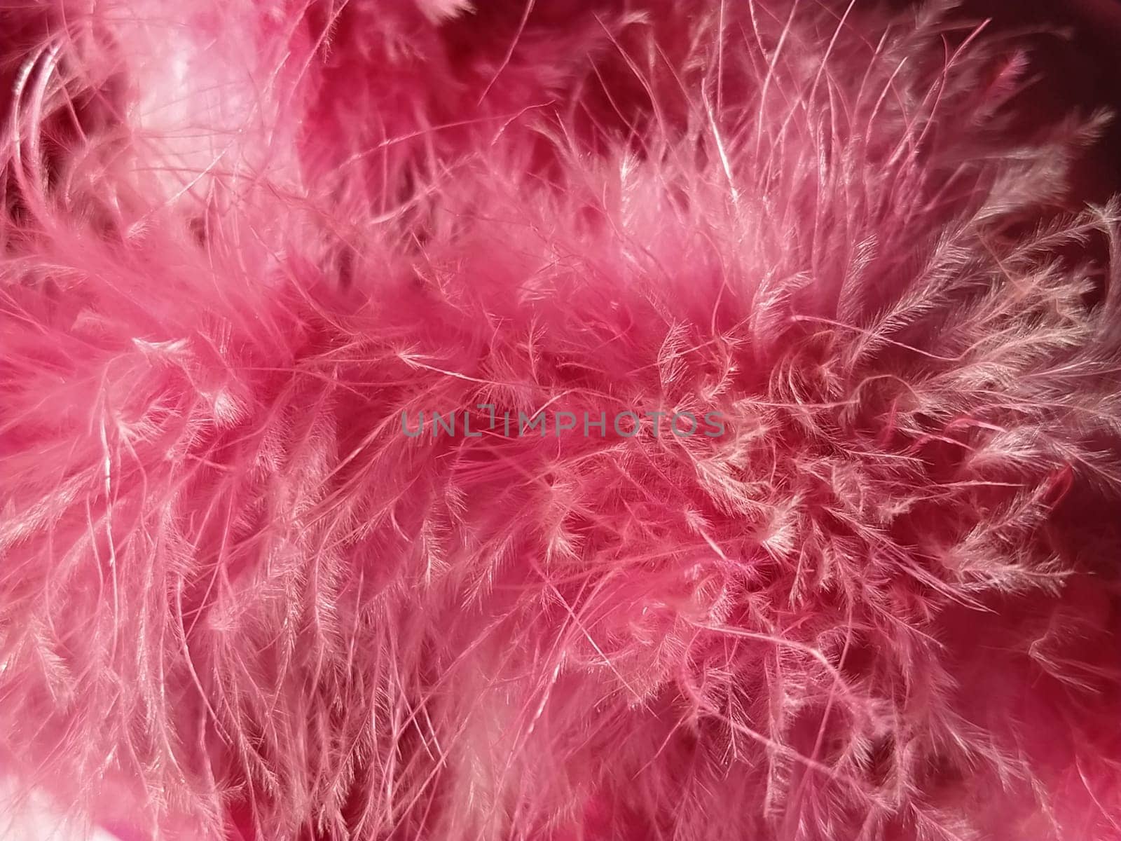 Pink faux fur or pink colored natural bird feathers close-up. Light feathers boa. Delicate texture. Greeting card Happy Valentines Day. Collar from a women's or girl's jacket. Bright pink or color.