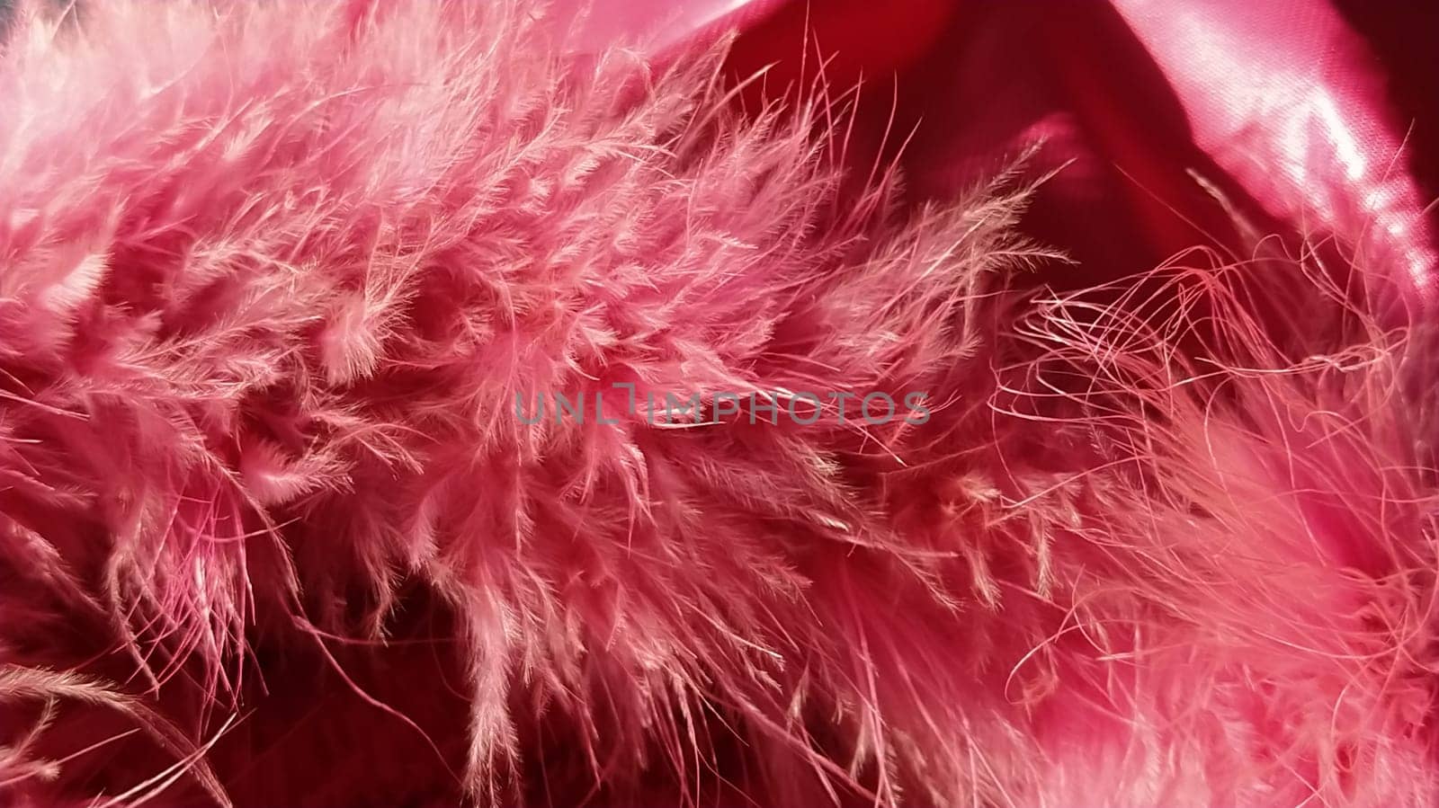 Pink faux fur or pink colored natural bird feathers close-up. Light feathers boa. Delicate texture. Greeting card Happy Valentines Day. Collar from a women's or girl's jacket. Bright pink or color.
