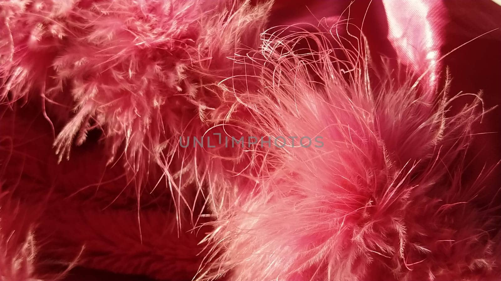 Pink faux fur or pink colored natural bird feathers close-up. Light feathers boa. Delicate texture. Greeting card Happy Valentines Day. Collar from a women's or girl's jacket. Bright pink or color.
