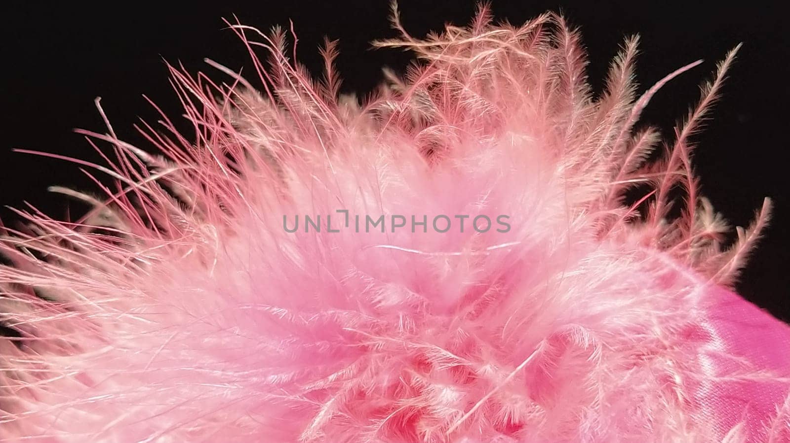 Delicate pink fluff on a black background. Real fur with a long pile. Close-up. Boa or cosmetic brush. Graceful details. Soft focus. Blurred image.
