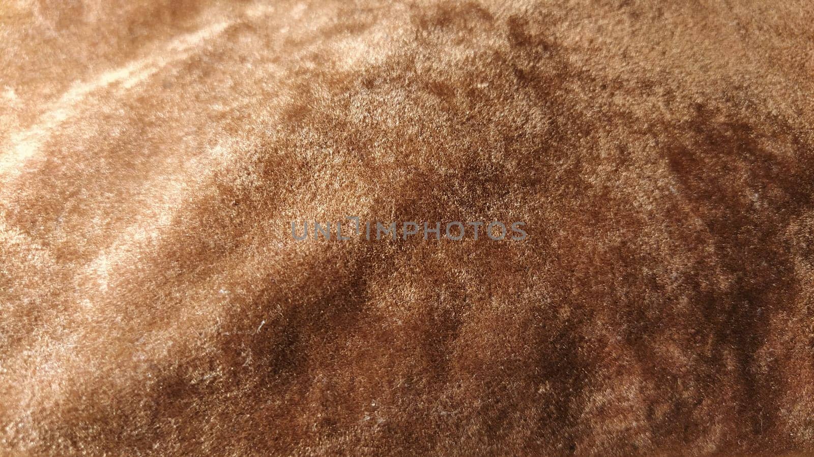 Brown and beige velvet. Close-up. Velvet fabric texture. Irregularities and overflows of light. Deep, rich, chocolate couloured satin. Folded and flowing background
