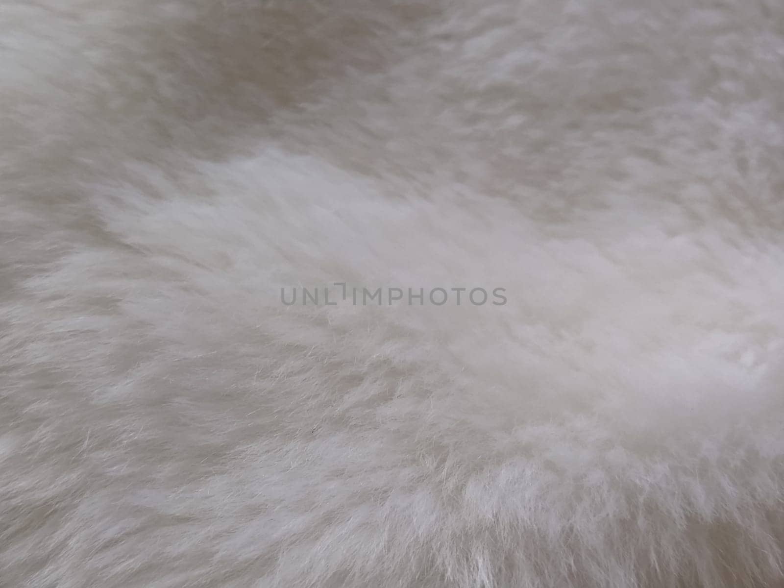 White faux fur. Close-up. Partially defocused photo. Fluffy villi.