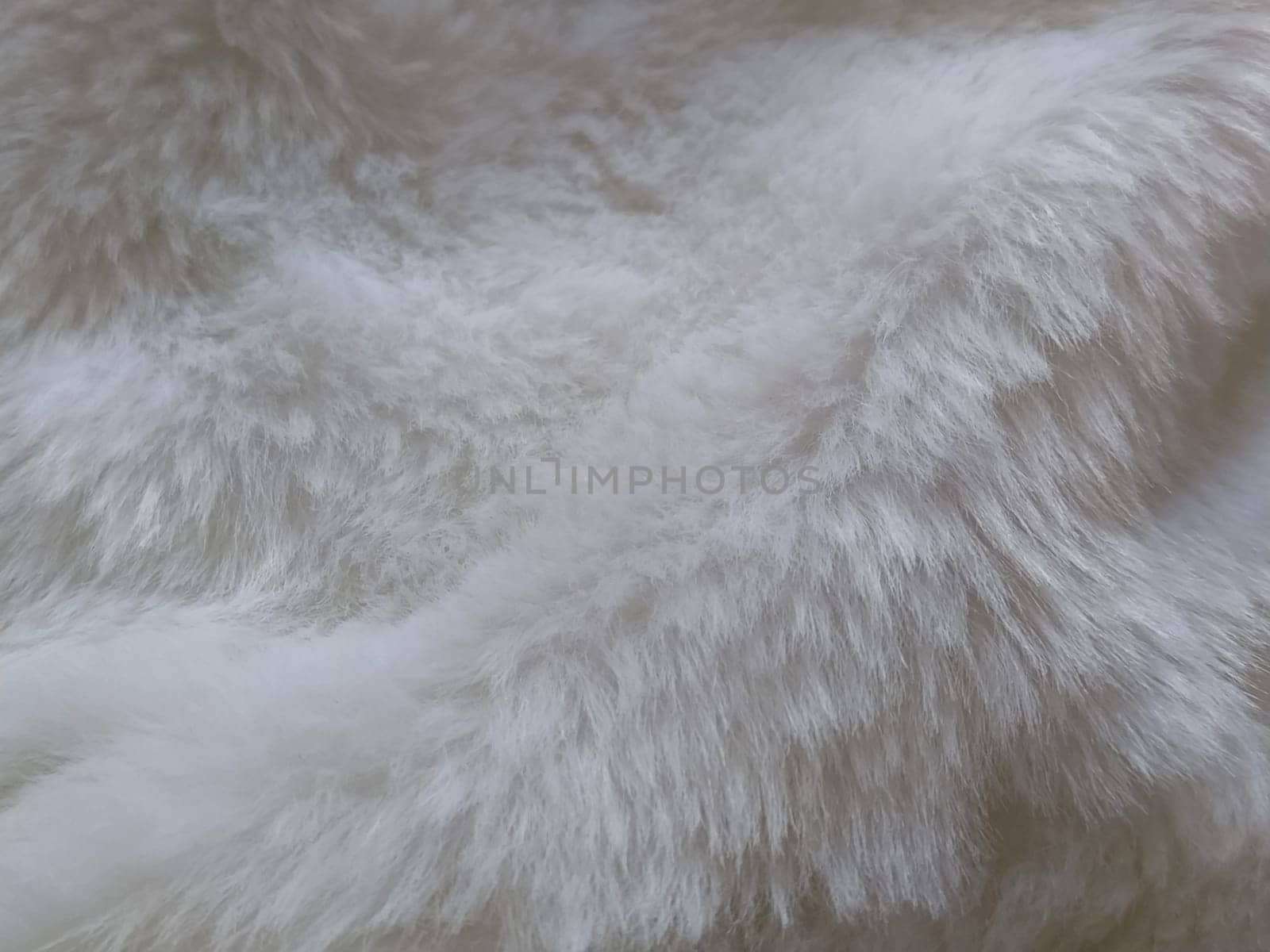 White faux fur. Close-up. Partially defocused photo. Fluffy villi.
